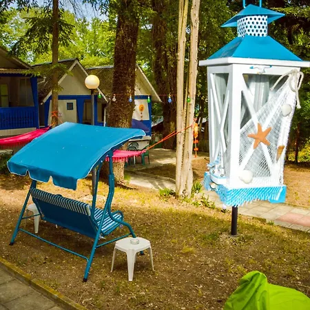 Albatross Breeze 100m From The