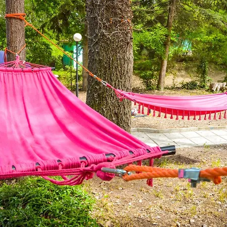 Albatross Breeze 100m From The * Varna