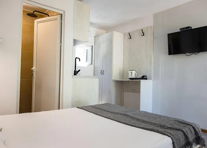 Albatross Breeze 100m From The Varna