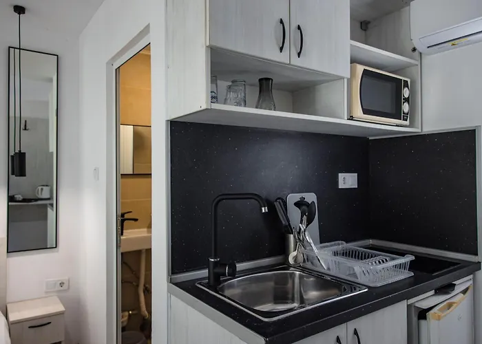 Albatross Breeze 100m From The Varna