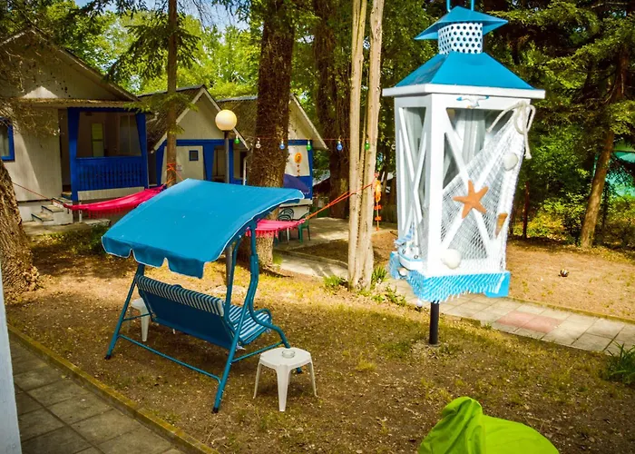 Albatross Breeze 100m From The