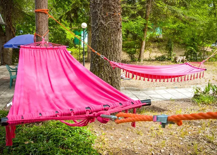 Albatross Breeze 100m From The * Varna